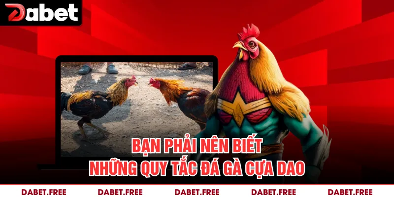 Bạn phải nên biết những quy tắc đá gà cựa dao 