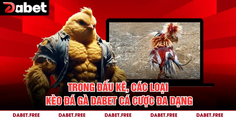 Trong đấu kê, các loại kèo Đá gà Dabet cá cược đa dạng